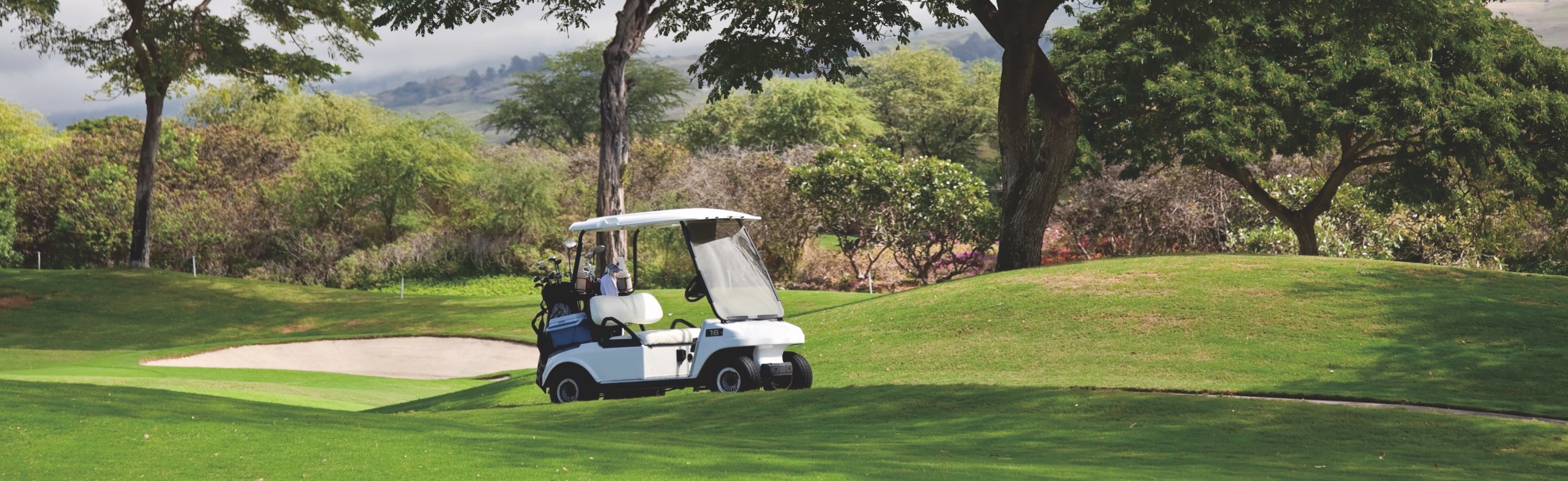 6 volt golf cart battery